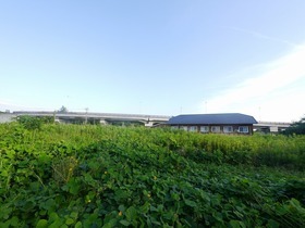 土地