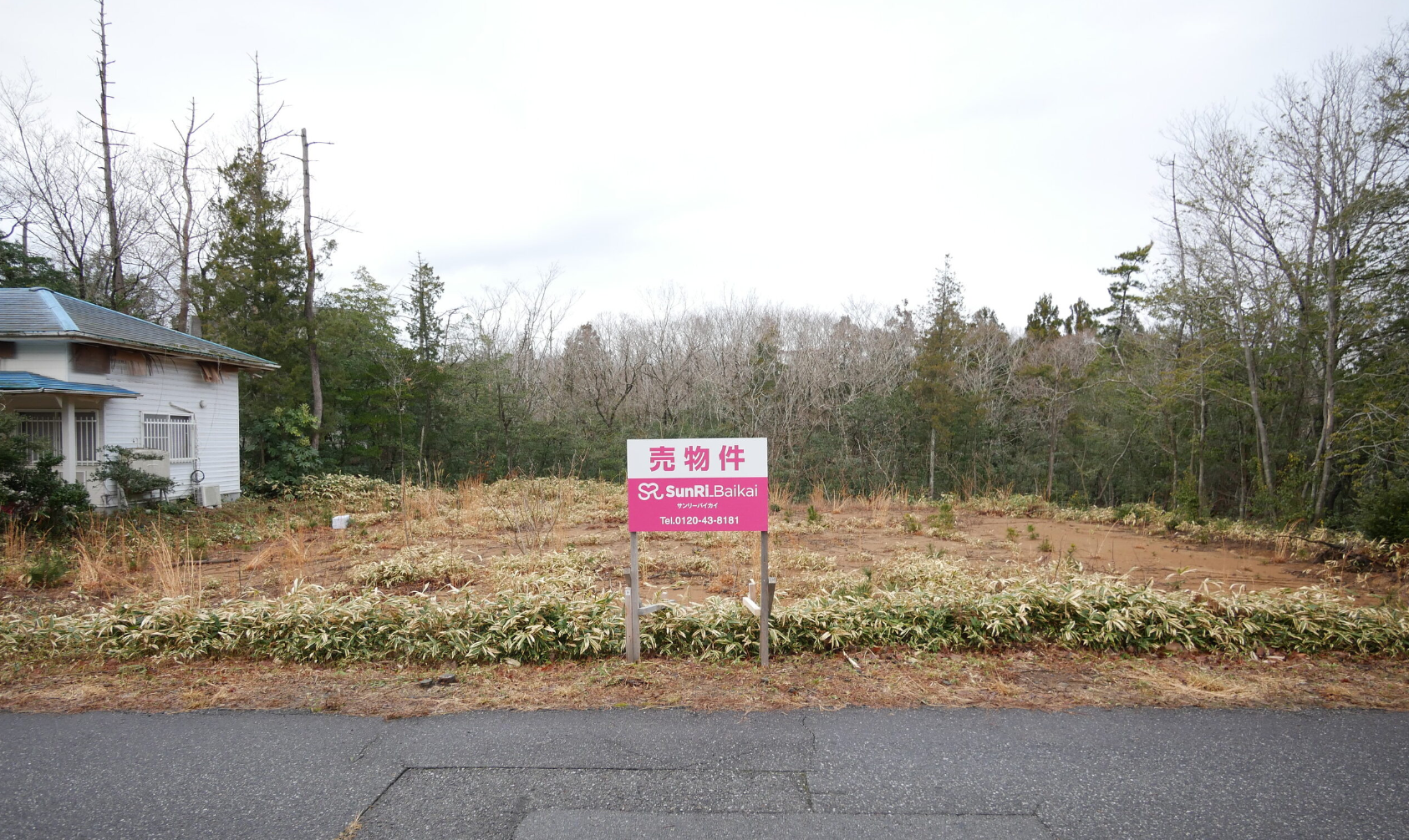外観画像