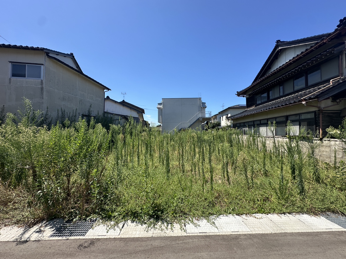 土地